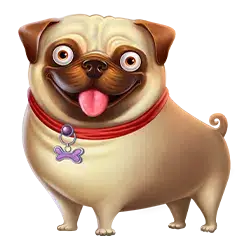 doghousepoland