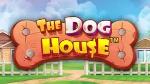 dog house