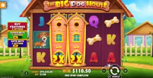 the big dog house